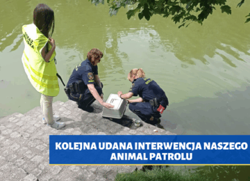 KOLEJNA UDANA INTERWENCJA NASZEGO ANIMAL PATROLU